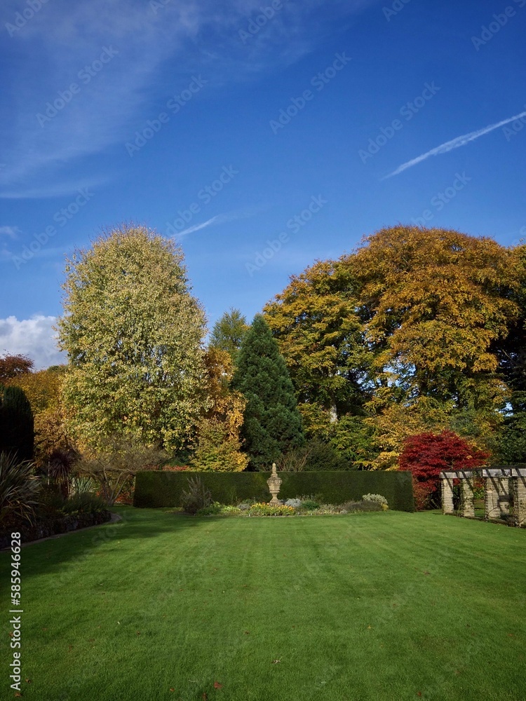 English Autumn Garden with Lawn