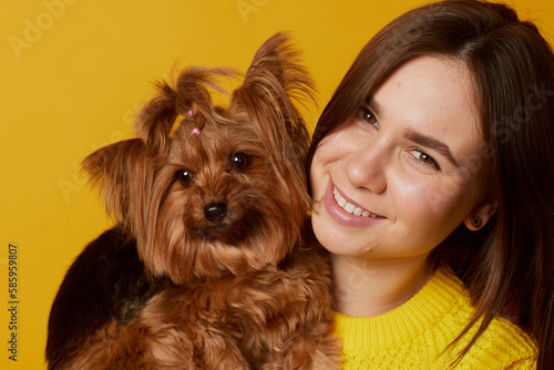 young girl with a dog Yorkshire terrier on a yellow clean background