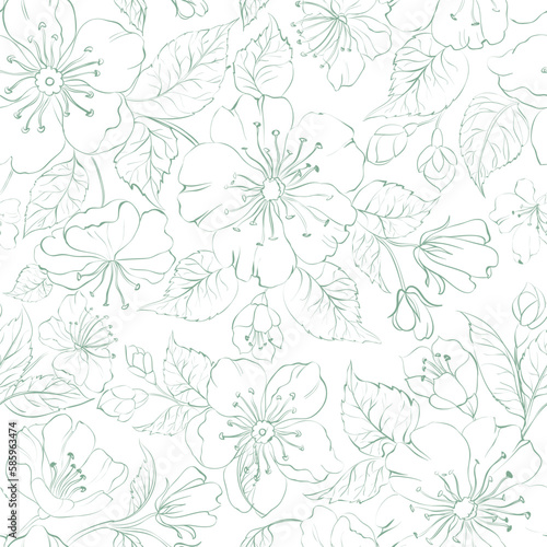 Sakura seamless pattern on white background.