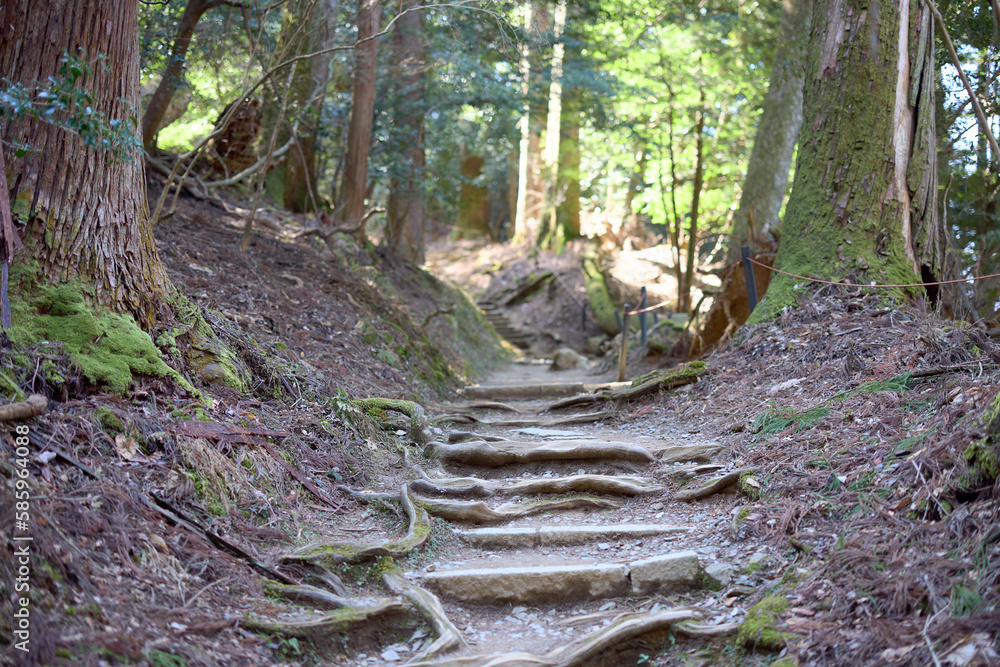 Fototapeta premium 鞍馬山の山道