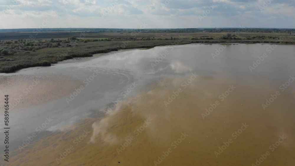 Partly dried flood plain overgrown with reeds and other wetland plants. Aerial view of coastal lakes and wetlands covered with aquatic plants and reeds.
Partly dried flood plain overgrown with reeds and other wetland plants. Aerial view of coastal lakes and wetlands covered with aquatic plants and reeds.