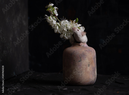 still life with flowers, plants, isolated, pattern, snake, still life, interior, modern, decor, beautiful, poster, organic, art, set, nature, abstraction, banner, painting, illustration, color, design