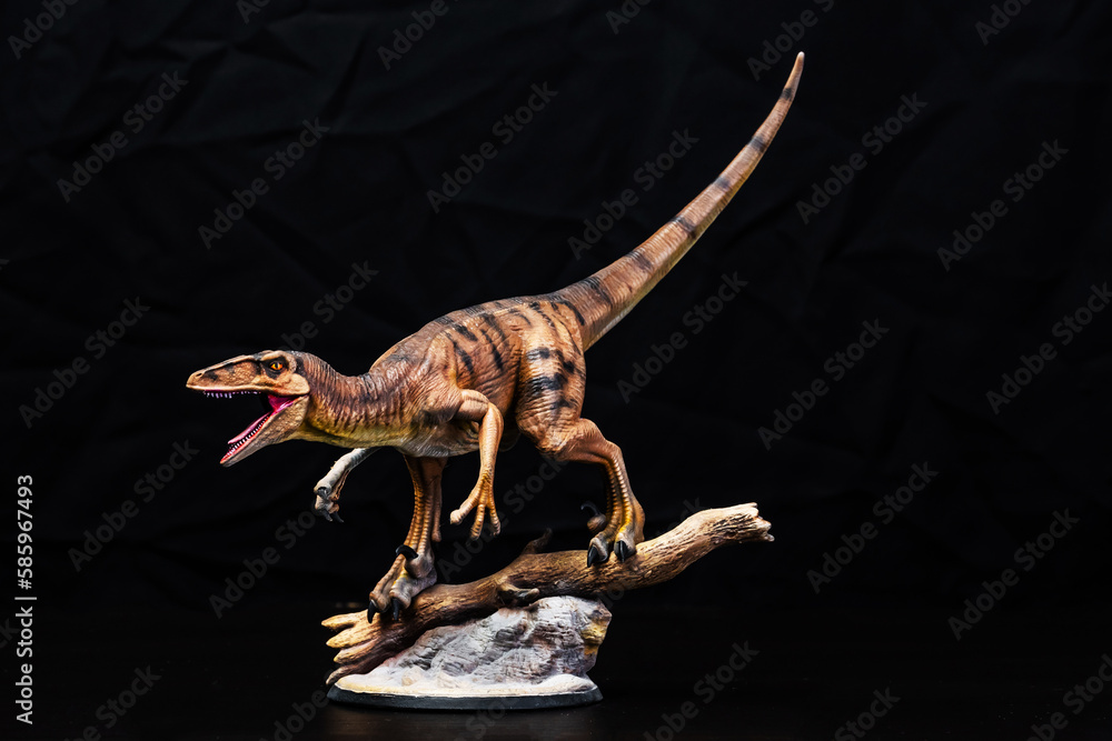 Naklejka premium The Velociraptor dinosaur in the dark