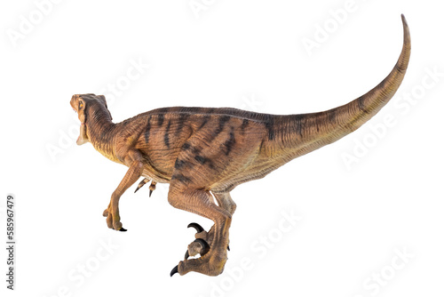 dinosaur   Velociraptor  isolated background