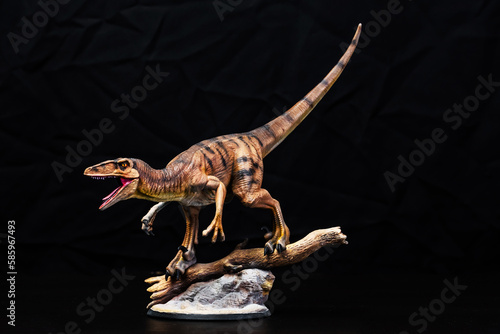 The Velociraptor  dinosaur  in the dark © meen_na