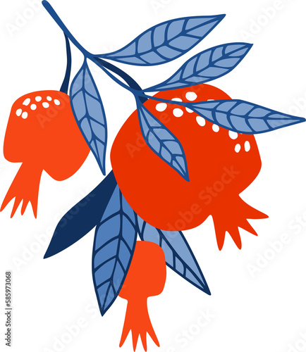 Hand drawn branch with pomegranates on a transparent background.
