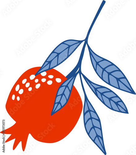 Hand drawn pomegranate on a transparent background.
