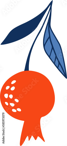 Hand drawn pomegranate on a transparent background.