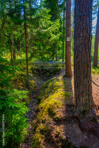 Trenches at Hanko Front Museum in Finland photo