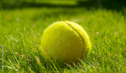 tennis ball on green grass