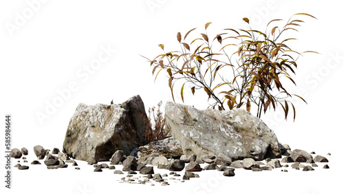 desert scene cutout, dry plants with rock, isolated on transparent background 