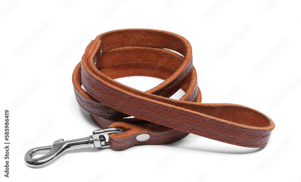 Obraz premium Brown leather dog leash isolated on white