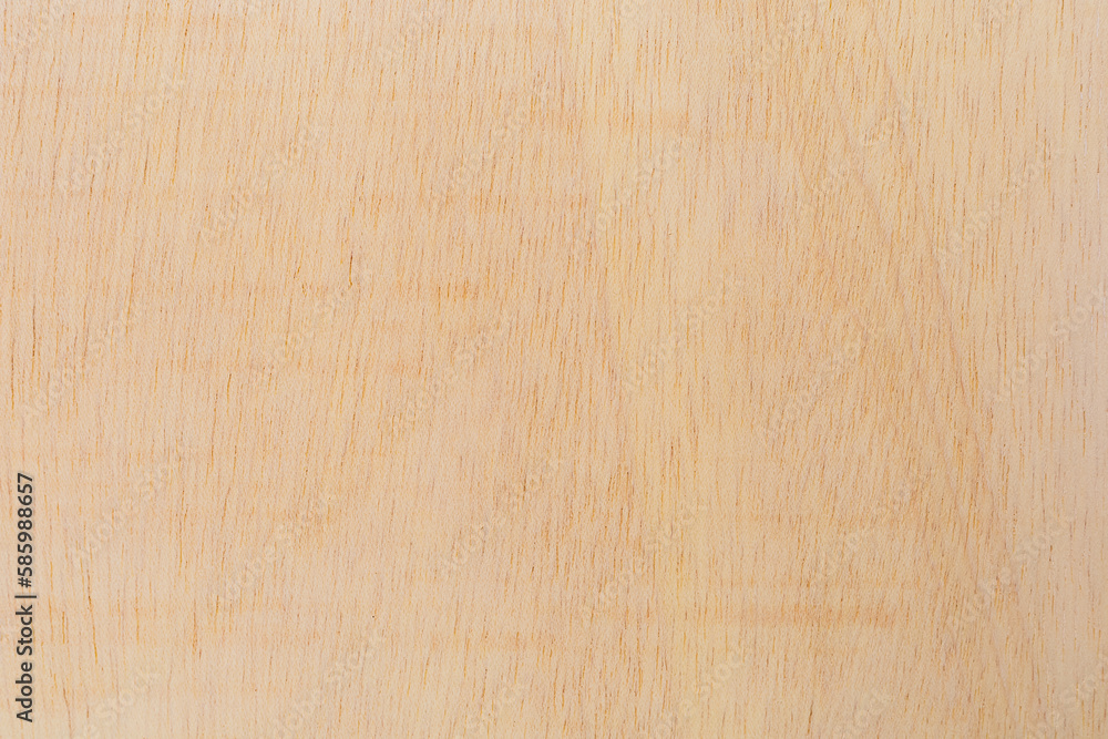 Naklejka premium Light rough textured cut surface of an African tree. Wood background or blank for design