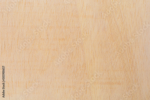 Light rough textured cut surface of an African tree. Wood background or blank for design