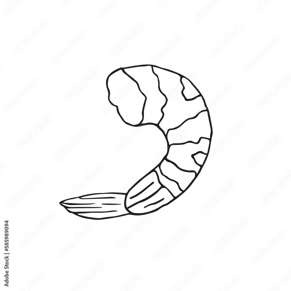 Vector hand drawn doodle sketch shrimp isolated on white background Vector hand drawn doodle sketch shrimp isolated on white background
