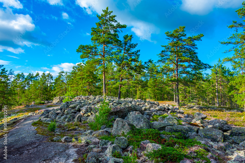 Sammallahdenmäki is a Bronze Age burial site in Finland near Rauma