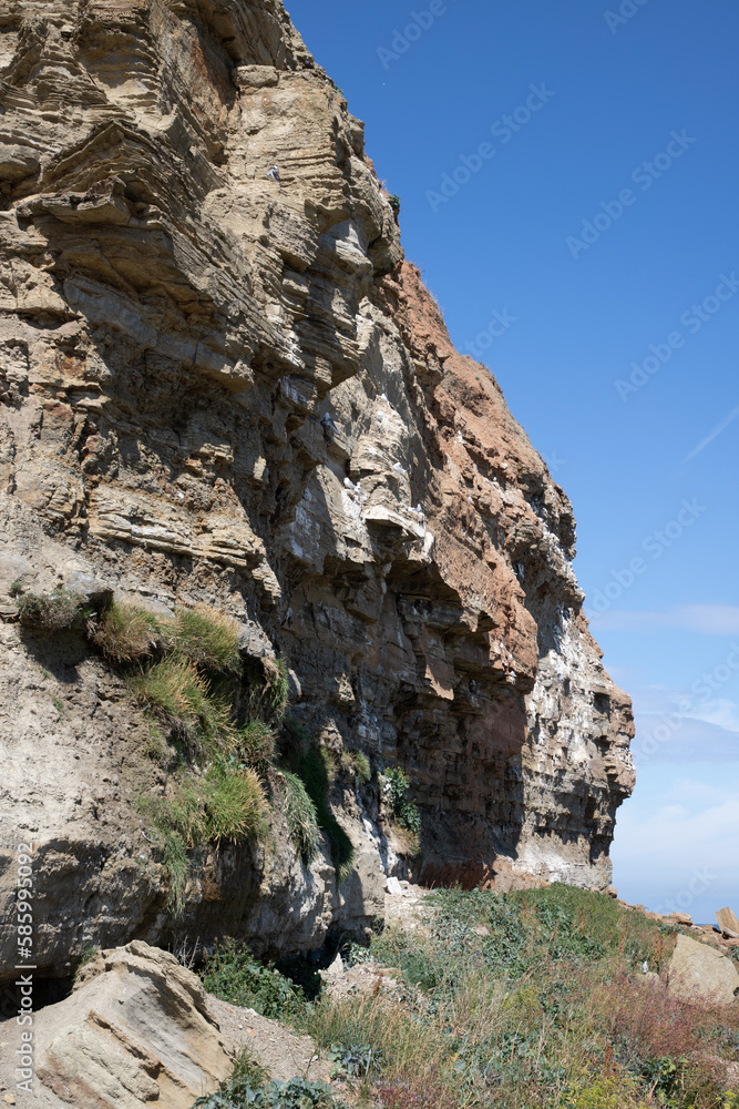 Vertical shot of a steep cliff covered with green moss on a blue sky background