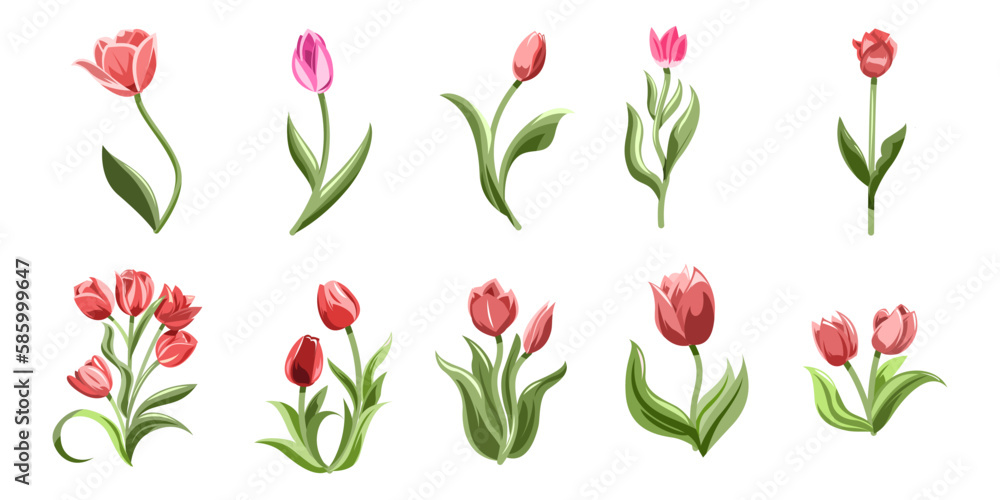 Tulip vector set collection graphic clipart design Tulip vector set collection graphic clipart design