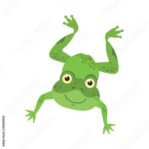 Cute cartoon toad