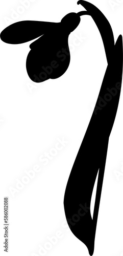 Illustration of early first spring flower snowdrop. Shape.
Galánthus nivális graphic. Illustration of one flower snowdrop on transparent background.
Illustrations of flowers.