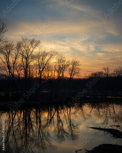 Vertical shot of a river and a field at sunset in Sportsman Park