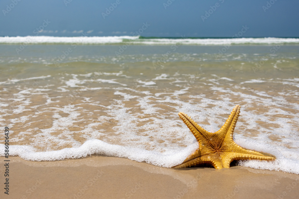 Starfish lying on the sea beach is washed by the waves, Starfish lying on the sea beach is washed by the waves,