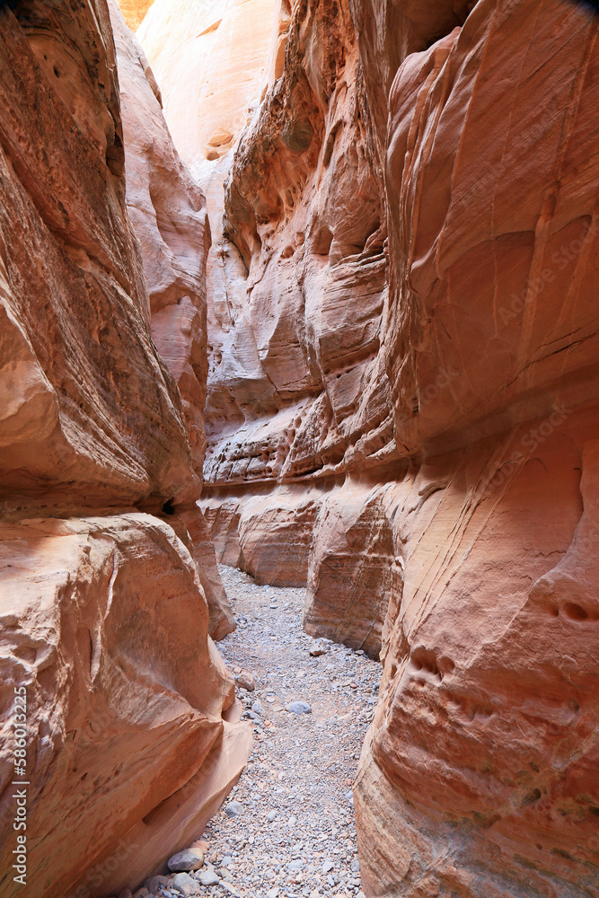 Slot canyon vertical - Valley of Fire State Park, Nevada