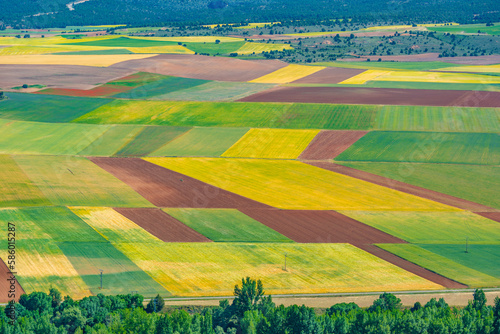 Agricultural landscape of Castilla y Leon region in Spain photo