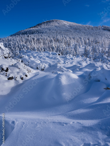 厳冬期の縞枯山