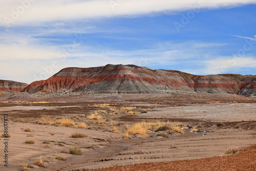 Petrified Forest National Park, a natural attraction place with many petrified tree trunks and fossils, in Arizona, USA.