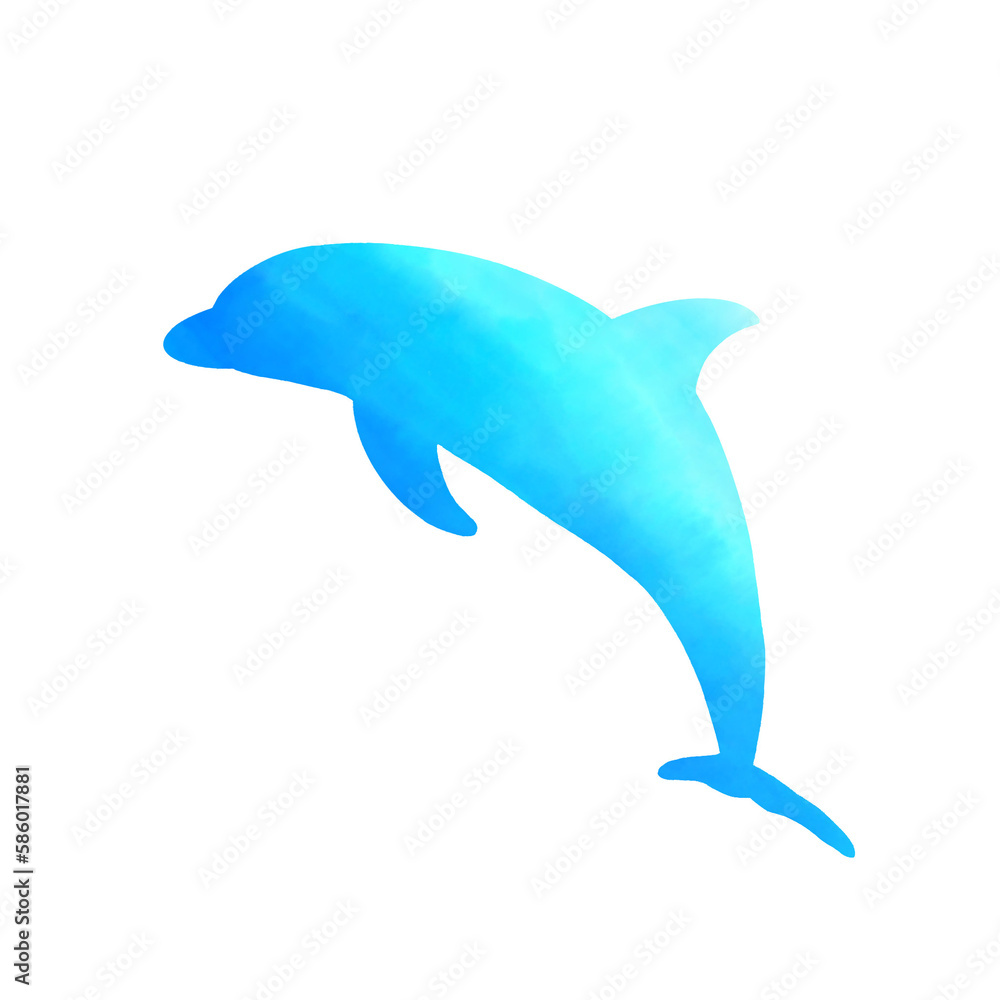 Obraz premium イルカ