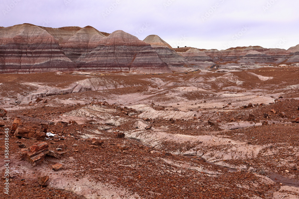 Petrified Forest National Park, a natural attraction place with many petrified tree trunks and fossils, in Arizona, USA.