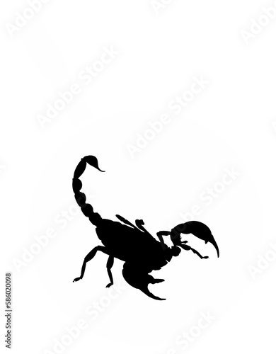 Scorpion on the Pan Silhouette for Bizarre or Extreme or Exotic Food  Traditional Food in Asian Country  Culinary Sign for Icon Symbol  Apps  Pictogram  Logo  Website  or Graphic Design Element. PNG