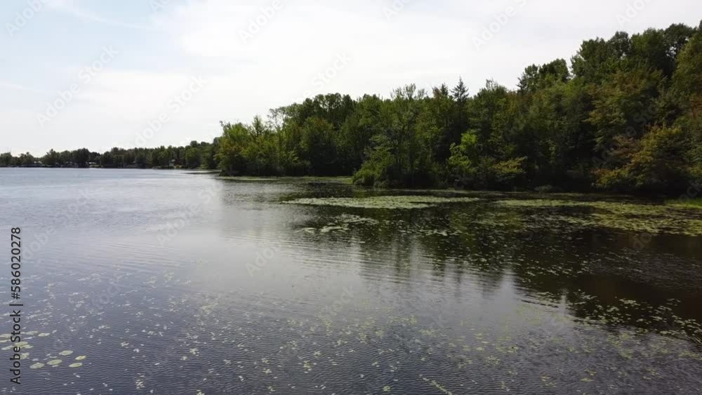 Aerial flyover tranquil lake with water plants on surface in nature of Quebec Aerial flyover tranquil lake with water plants on surface in nature of Quebec