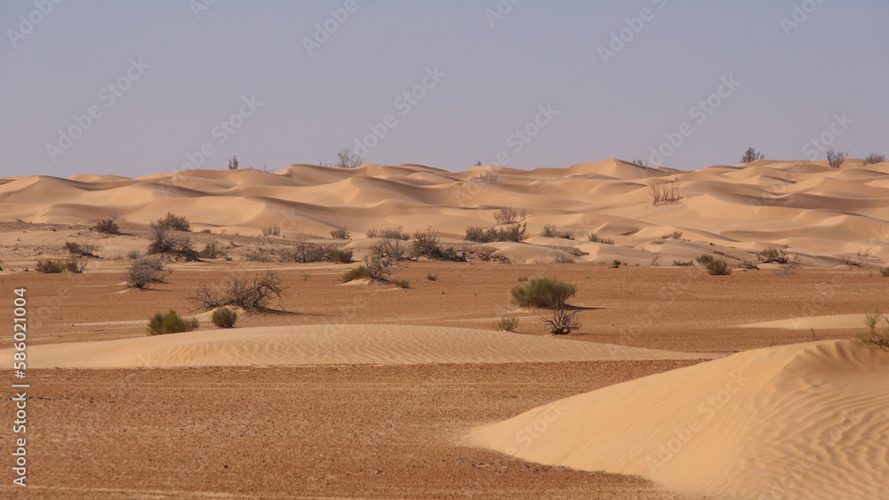 Large dunes enclosing a bowl valley in the Sahara, outside of Douz, Tunisia