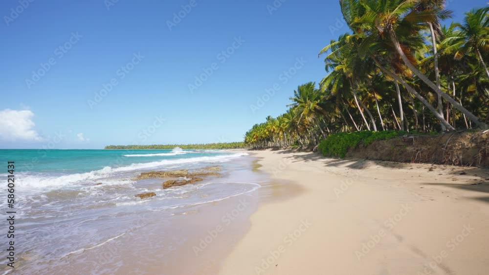 Tall palm trees on the golden sand of the sea coast. Blue lagoon and beautiful sandy beach. Landscape of tropical nature. Coast of the Atlantic Ocean. Caribbean palm beach. Summer holidays. Tall palm trees on the golden sand of the sea coast. Blue lagoon and beautiful sandy beach. Landscape of tropical nature. Coast of the Atlantic Ocean. Caribbean palm beach. Summer holidays.