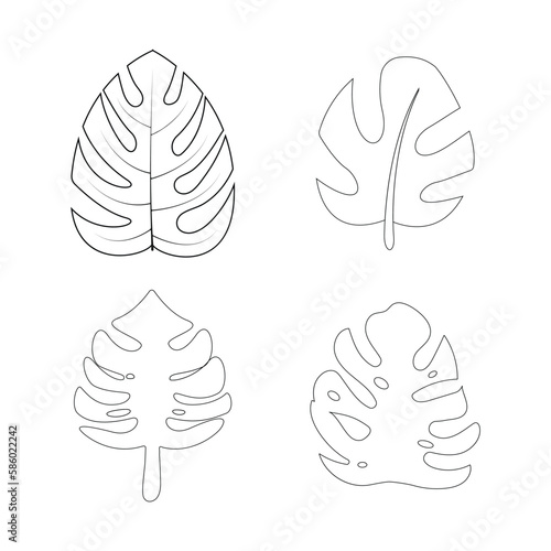 monstera leaf icon