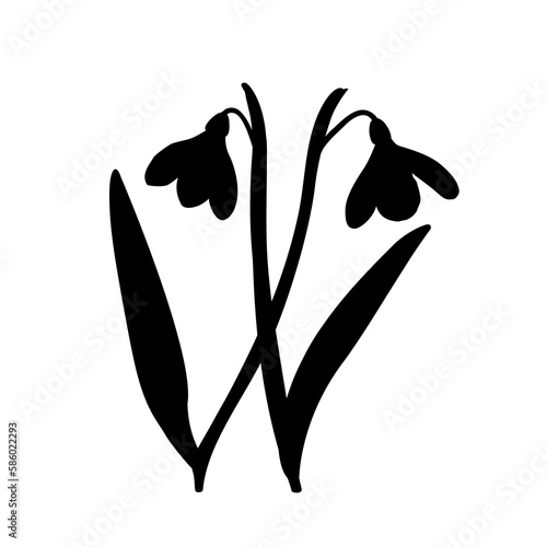 Illustration of two shoots of early first spring flowers snowdrops. Shape.
Galánthus nivális graphic. Illustration of two flowers snowdrops on white background.
Illustrations of flowers.
