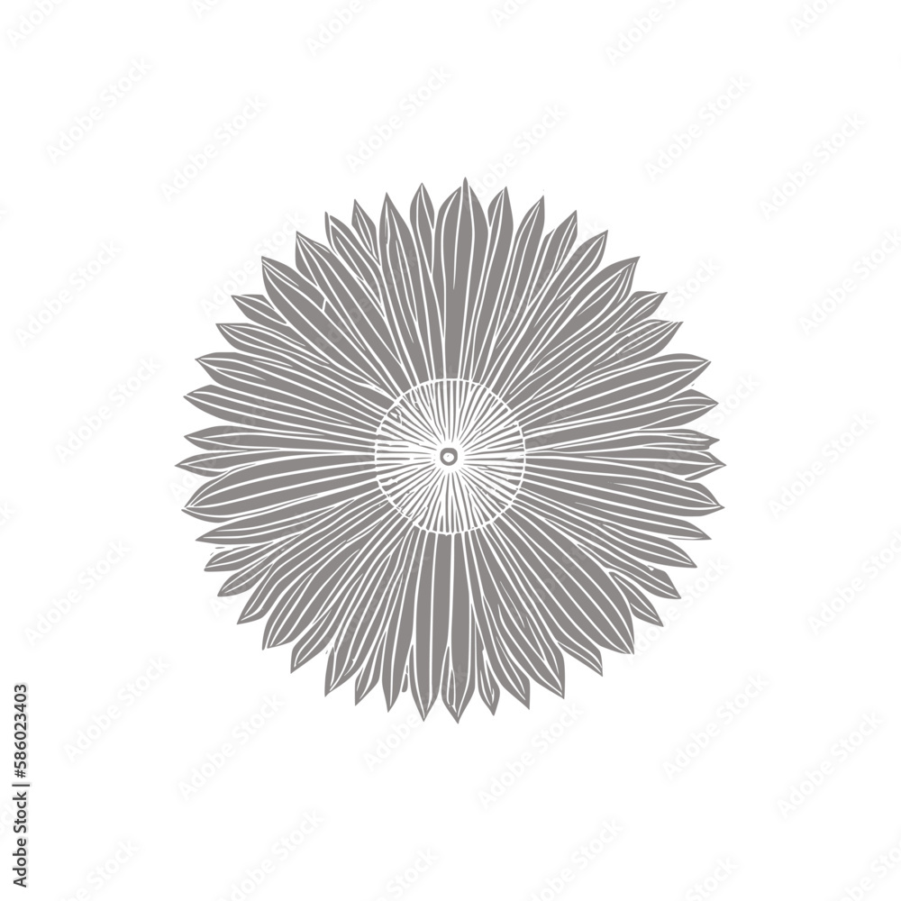 Wonderful flower. Vector illustration. Coloring book page for adults. Black and white line. Love bohemia concept for wedding invitation cards, branding, Coloring page, and label.