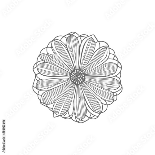 Wonderful flower. Vector illustration. Coloring book page for adults. Black and white line. Love bohemia concept for wedding invitation cards  branding  Coloring page  and label.