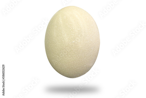 Ostrich egg isolated on white background. Big ostrich egg photo