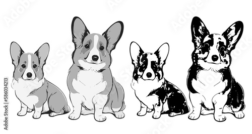 Greyscale and Line Art Corgis