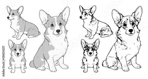 Greyscale and Line Art Corgis