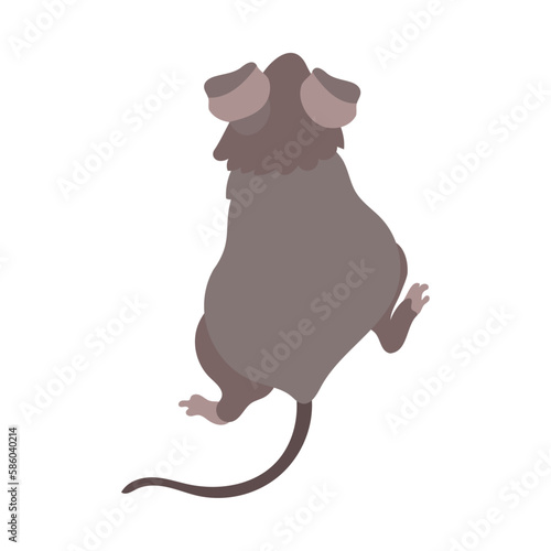 ハツカネズミの後ろ姿。フラットなベクターイラスト。
A back view of a house mouse. Flat designed vector illustration.