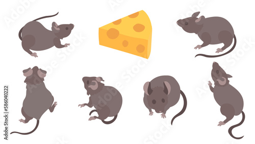 ハツカネズミと穴あきチーズのイラストセット。フラットなベクターイラスト。
A set of illustrations featuring House mice and cheese with holes. Flat designed vector illustration.