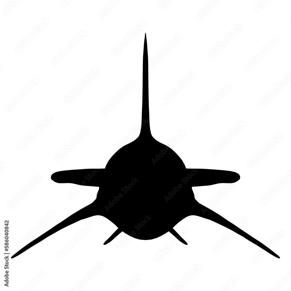 Hammerhead shark vector 8 Stock Photo | Adobe Stock