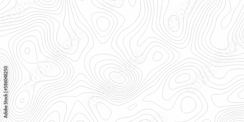 abstract background vector illustration.  topographic line contour map and sea map geographic grid map Vector illustration.