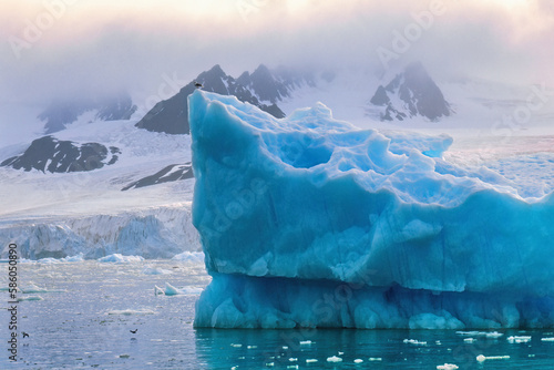 Iceberg by a glacier at the coast in Svalbard