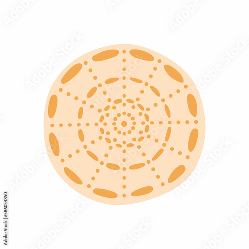 Vector illustration with circle seashell nautilus. Object for your logo, card or flyer.