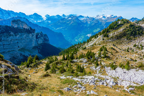 Panorama view of Bernese Alps from Schynige Platte in Switzerland photo